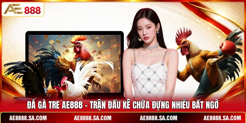 Đá Gà Tre AE888 - Trận Đấu Kê Chứa Đựng Nhiều Bất Ngờ