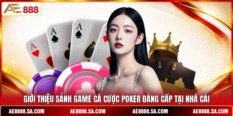 Giới thiệu sảnh game cá cược Poker đẳng cấp tại nhà cái 