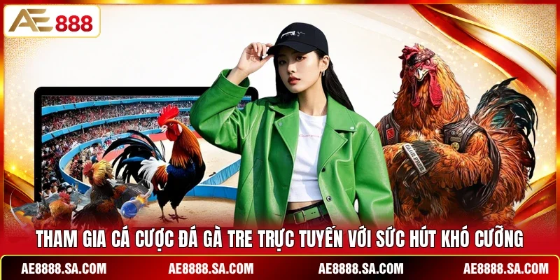Tham gia cá cược đá gà tre trực tuyến với sức hút khó cưỡng 